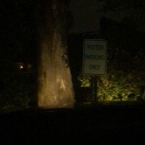 Meet your Posher, Davia